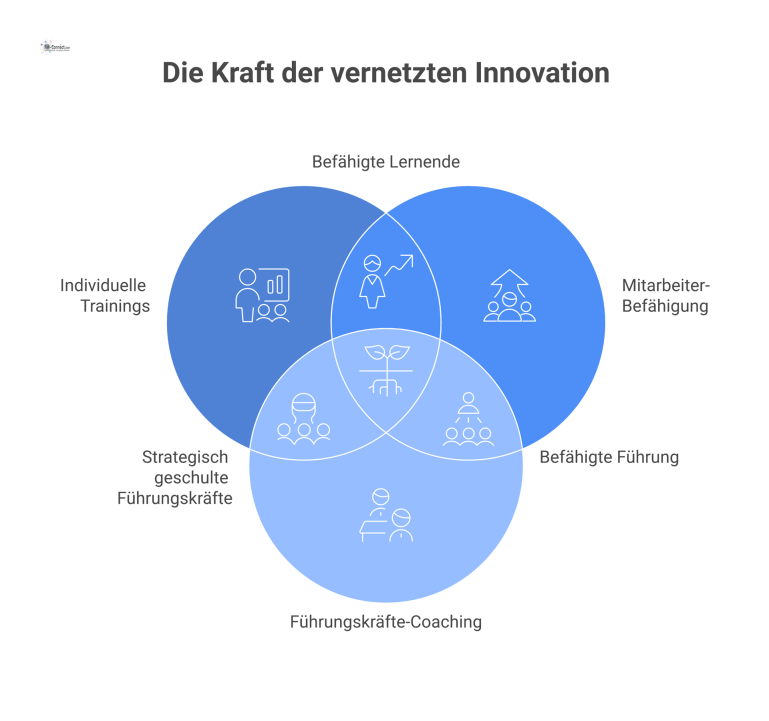 Zirkuläres Diagramm mit 'Nachhaltige Innovationskompetenz' im Zentrum, umgeben von fünf Satelliten: Trainings, Befähigung, Coaching, Lernen und Leistungsmessung.