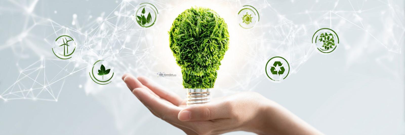 Innovation trifft Verantwortung: Nachhaltige Ansätze für mehr Effizienz und Klimaschutz